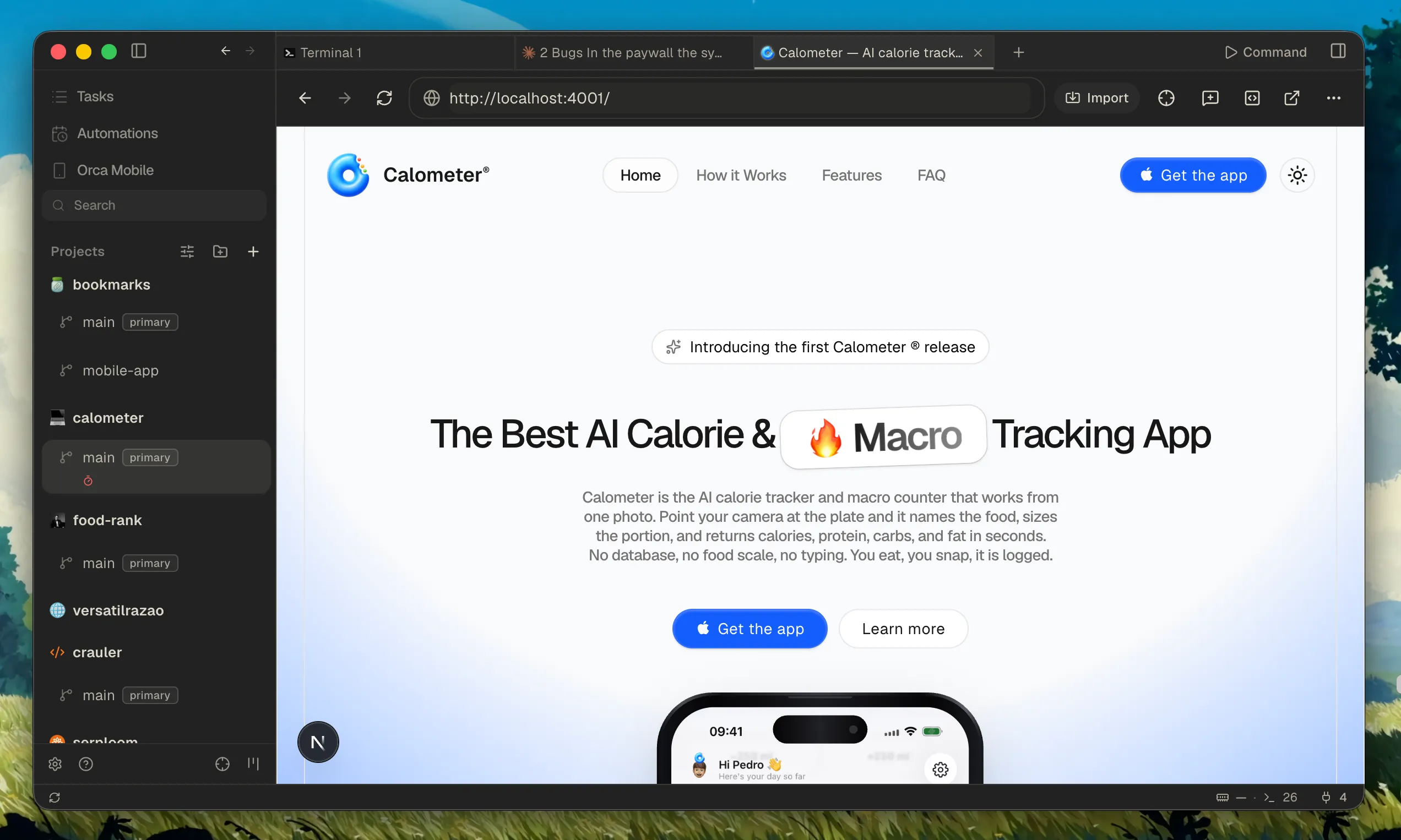 Orca's built-in browser with profiles and split view